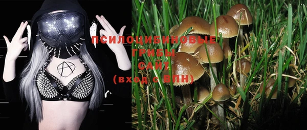 2c-b Надым