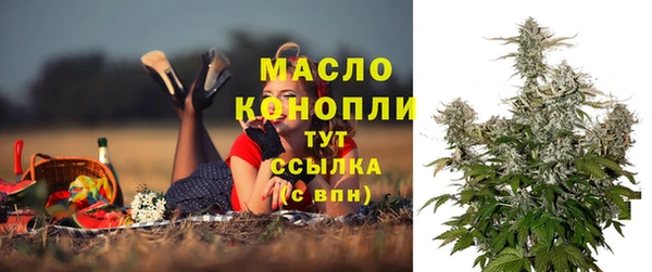 2c-b Надым