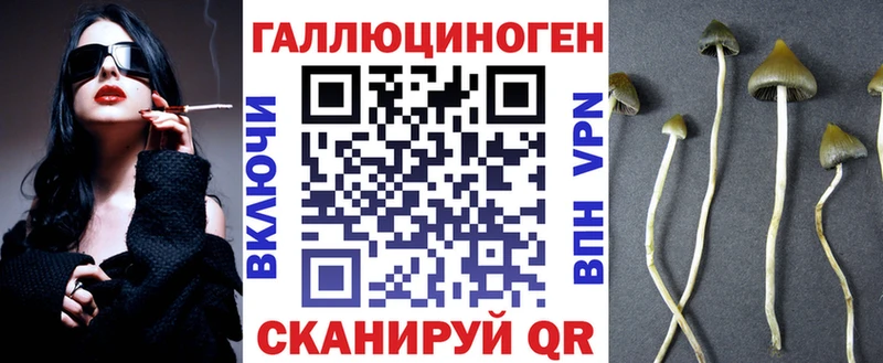 Купить закладки  Козловка  Псилоцибиновые грибы мицелий 